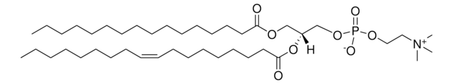 Brain PC Avanti Research&#8482; - A Croda Brand 840053P, powder