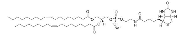 18:1 Biotinyl PE Avanti Research&#8482; - A Croda Brand 870282P, powder