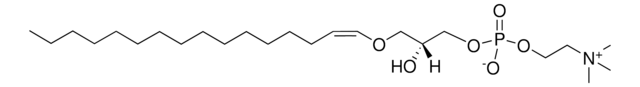 C16(Plasm) LPC 1-(1Z-hexadecenyl)-sn-glycero-3-phosphocholine, powder