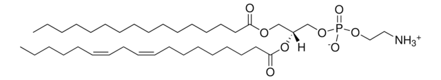 Soy PE Avanti Research&#8482; - A Croda Brand 840024C