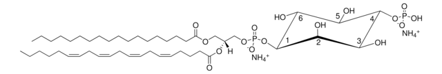 Brain PI(4)P Avanti Research&#8482; - A Croda Brand 840045P, powder