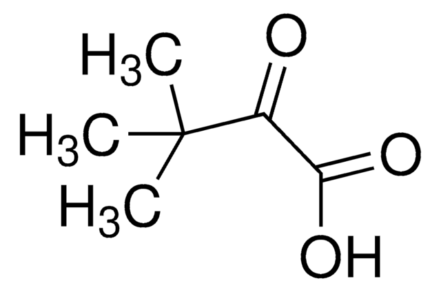 トリメチルピルビン酸 AldrichCPR