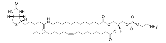 12:0 Biotin-18:1 PE Avanti Research&#8482; - A Croda Brand, chloroform solution