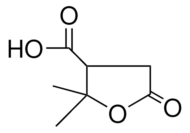 TEREBIC ACID(TETRAHYDRO-2,2-DIMETHYL-5-OXO-3-FURANCARBOXYLIC ACID) AldrichCPR