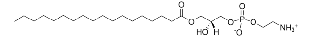 18:0リゾPE 1-Stearoyl-2-Hydroxy-sn-Glycero-3-Phosphoethanolamine, powder