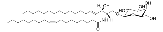 C18:1 Galactosyl(&#946;) Ceramide (d18:1/18:1(9Z)) Avanti Research&#8482; - A Croda Brand 860596P, powder