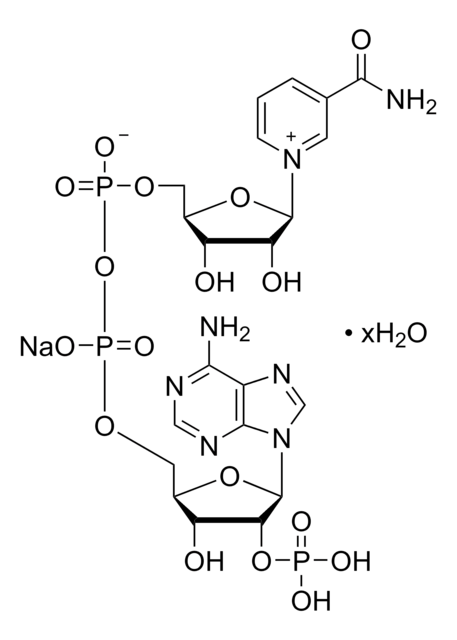 &#946;-ニコチンアミドアデニンジヌクレオチドリン酸 ナトリウム塩 水和物 powder, BioReagent, suitable for cell culture