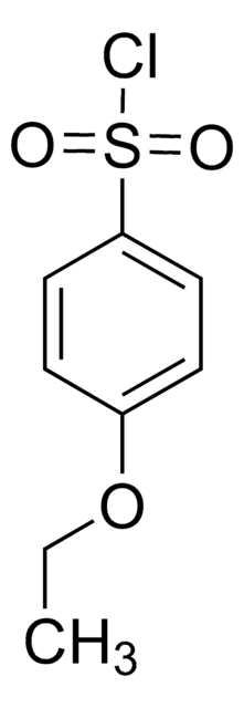 4-Ethoxybenzenesulfonyl chloride AldrichCPR