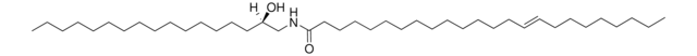 N-C24:1-desoxymethylsphinganine Avanti Research&#8482; - A Croda Brand 860465P, powder