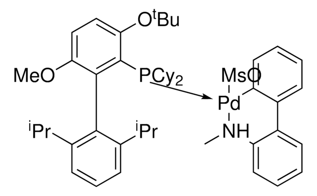 GPhos Pd G4 ChemBeads