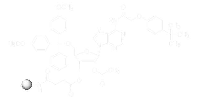 DMT-rA(tac)-CPG pore size 1000&#160;Å, 20-30 &#956;mol/g