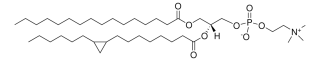 16:0-17:0 cyclo PC Avanti Research&#8482; - A Croda Brand 857501P, powder