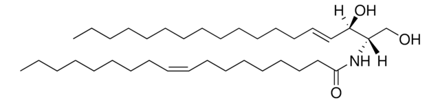 C18:1 Ceramide (d18:1/18:1(9Z)) Avanti Research&#8482; - A Croda Brand 860519P, powder