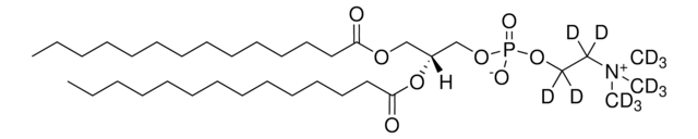 14:0 PC-d13 Avanti Research&#8482; - A Croda Brand 860343P, powder