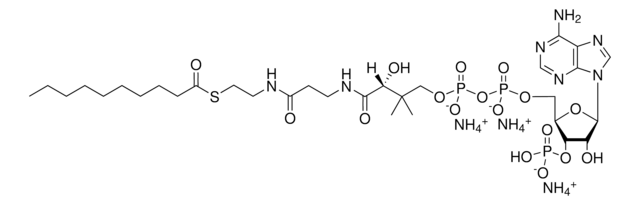 10:0 Coenzyme A Avanti Research&#8482; - A Croda Brand 870710P, powder