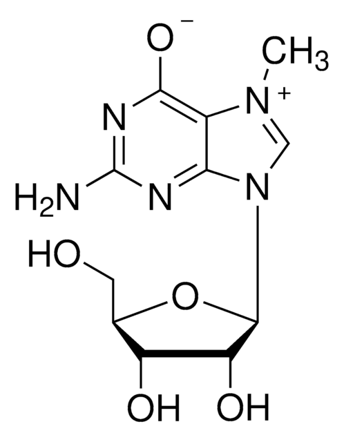 7-Methylguanosine &#8805;90%