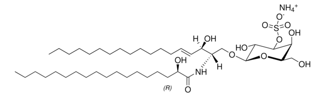 18:0(2R-OH) Sulfo GalCer Avanti Research&#8482; - A Croda Brand 860842P, powder