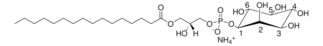 16:0リゾPI 1-palmitoyl-2-hydroxy-sn-glycero-3-phosphoinositol (ammonium salt), powder