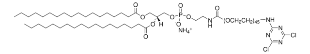 DSPE-PEG(2000) Cyanur Avanti Research&#8482; - A Croda Brand 880122P, powder