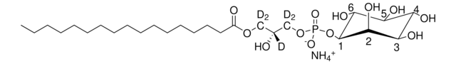 17:0 Lyso PI-d5 Avanti Research&#8482; - A Croda Brand