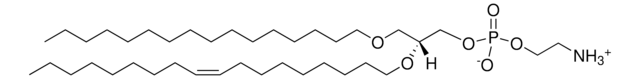 16:0-18:1 Diether PE Avanti Research&#8482; - A Croda Brand 999974P, powder