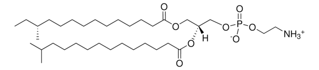 a15:0-i15:0 PE Avanti Research&#8482; - A Croda Brand