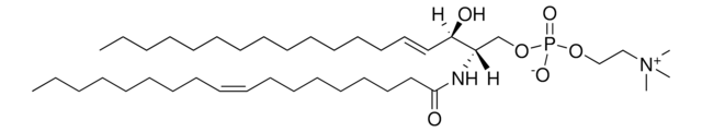 18:1 SM (d18:1/18:1(9Z)) Avanti Research&#8482; - A Croda Brand 860587C