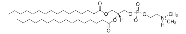 16:0 Dimethyl PE 1,2-dipalmitoyl-sn-glycero-3-phosphoethanolamine-N,N-dimethyl, powder