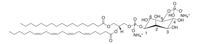 17:0-20:4 PI(5)P Avanti Research&#8482; - A Croda Brand LM1902, powder