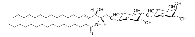 C16 Lactosyl(&#946;) Ceramide (d18:1/16:0) Avanti Research&#8482; - A Croda Brand 860576P, powder