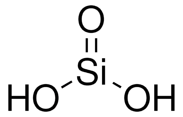 Silicic acid powder, &#8722;80&#160;mesh