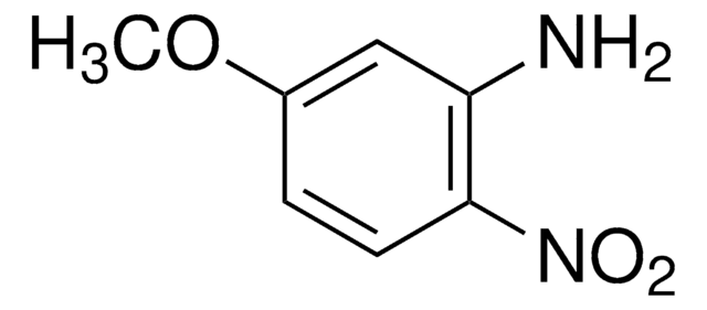 5-Methoxy-2-nitroaniline 97%