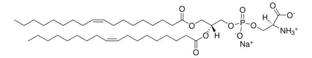 18:1 PS (DOPS) Avanti Research&#8482; - A Croda Brand