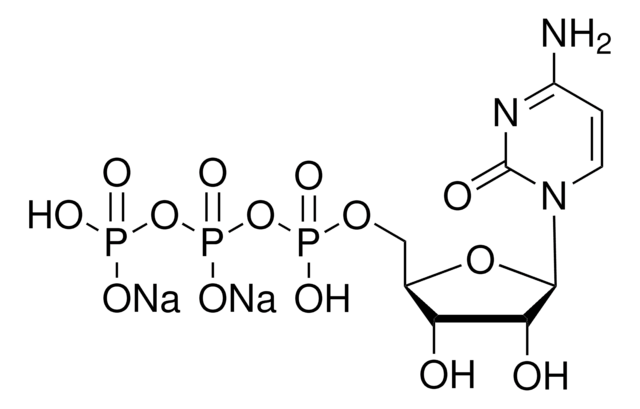 シチジン 5&#8242;-三リン酸 二ナトリウム 溶液 HPLC purified, aqueous solution for RNA polymerase transcription