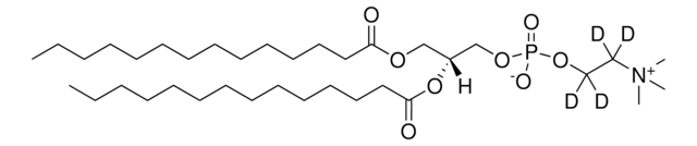 14:0 PC-d4 Avanti Research&#8482; - A Croda Brand 860341P, powder