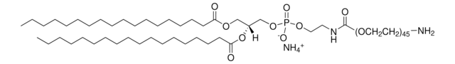 DSPE-PEG(2000) Amine Avanti Research&#8482; - A Croda Brand 880128C