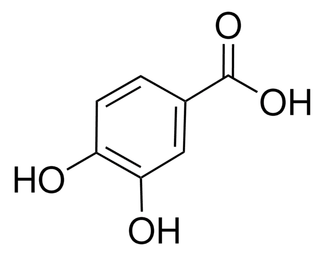 3,4-ジヒドロキシ安息香酸 primary reference standard