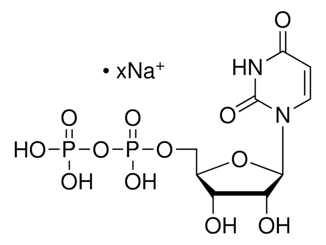 Uridine 5&#8242;-(trihydrogen diphosphate) sodium salt from Saccharomyces cerevisiae 95-100%