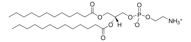 12:0-13:0 PE Avanti Research&#8482; - A Croda Brand LM1100, methanol solution