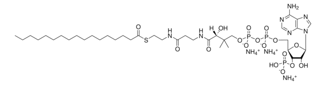 17:0 Coenzyme A Avanti Research&#8482; - A Croda Brand 870717P, powder